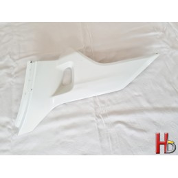 protector right side cover Goldwing GL1800