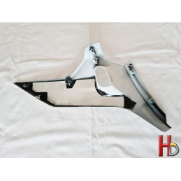 protector right side cover Goldwing GL1800