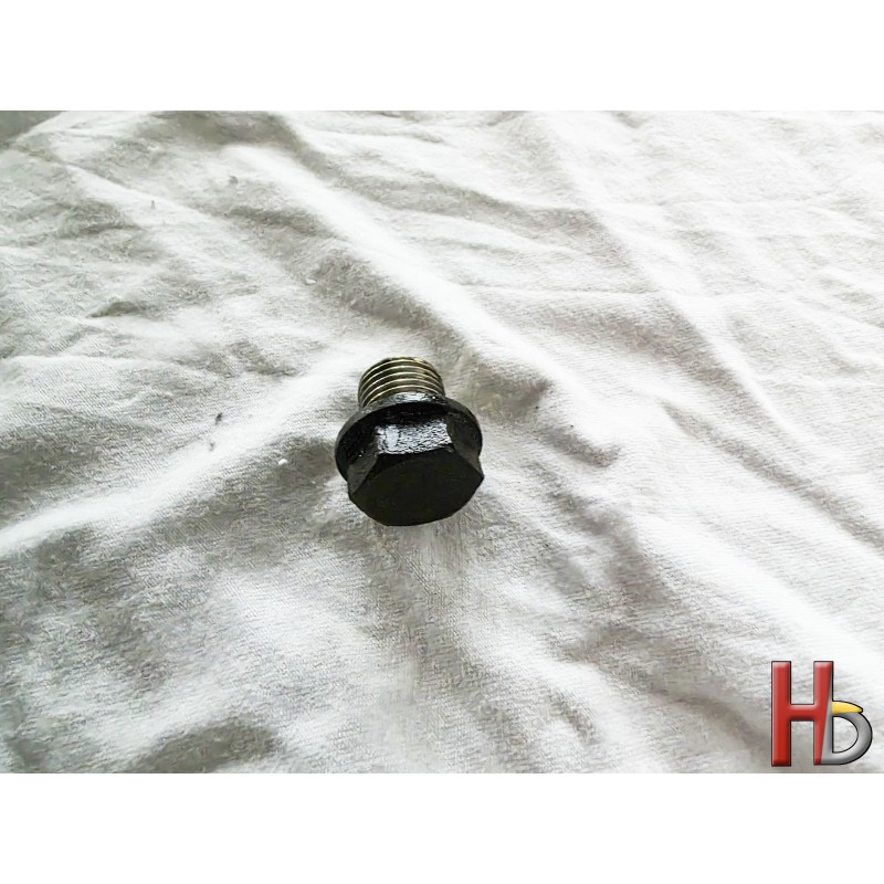 oil plug final drive Goldwing GL1500 GL1800