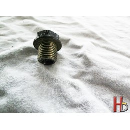 oil plug final drive Goldwing GL1500 GL1800